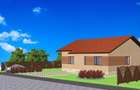 Vand casa in faza de constructie - 2