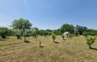 Teren Construcții de 1000 mp, în Cornu de Jos (Cornu) - 6