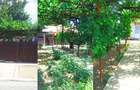 Casă cu 3 camere cu Teren 784 Mp în Cumpăna - 10
