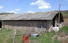 Teren 5300mp + Casa modesta si anexe, SanPaul, sat Sumurducu, jud.Cluj - 4