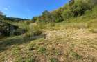 Gospodarie cu 10.900 mp teren, 3 constructii, Cainelu de Sus
