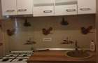 Garsoniera 1 camera, balcon, Dristor, 400 EUR -1 min metrou Dristor - 3