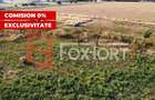 Teren Construcții intravilan de 622 mp, în Chișoda - 6