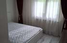 2Camere Crangasi Parc Nucsoara - 12