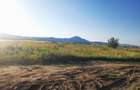 Teren agricol intravilan de 1022 mp, în Cristian - 7