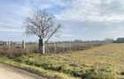 Teren intravilan de 2409 mp, în Afumați - 5
