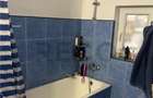 Casă cu 3 camere cu Teren 3300 Mp în Felcheriu - 13