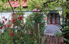 Casă cu 4 camere cu Teren 2200 Mp în Central - 3