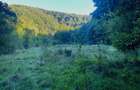 Teren de 1000 mp intravilan, Valea Finisului, Bihor, @Gaminvest, V4232 - 1