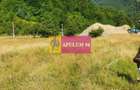 Teren Jude?ul Valcea - Brezoi, Valea lui Stan - 6