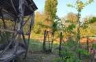 Vand proprietate in Sibot - 4