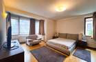 Apartament cu 4 camere semidecomandat în Herăstrău - 15