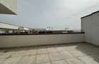 Penthouse cu 3 camere decomandat în Berceni - 8