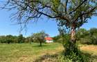 Casă individuală cu 5 camere cu Teren 15691 Mp în Zălan - 6