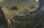 Teren 10.000 mp- Zona Montana Salbatica (Valea Mare Prava?-AG) , Panorama Iezer-Papu?a