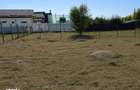 Crevedia(Buftea) 553 mp, BRANSAT la apa si curent, imprejmuit - 1