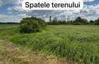  Teren intravilan 3743 mp Frunzaru – asfalt, apă și curent la poartă - 4
