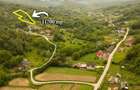 Teren de 11700 mp in mijlocul naturii la 2 ore de Bucure?ti - 2