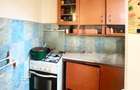 Apartament cu 3 camere nedecomandat, mobilat în Iosefin - 5