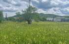 Ultracentral - Breaza - 7