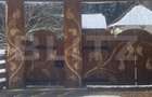 Vânzare 2 case tradiționale, 3 camere + teren, 3450 mp, Campulung Moldovenesc - 2