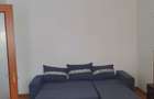 Apartament cu 2 camere decomandat în Nicolae Grigorescu - 8