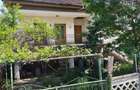 Casa de renovat si teren de vanzare inclusiv piscina Domnesti - 2