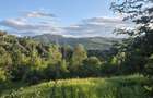 Teren de 2700 mp, în Valea Doftanei