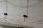Apartament 3 camere parter nemodernizat. - 6