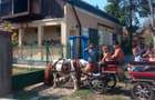 Casă cu 5 camere cu Teren 4367 Mp în Mădăras - 4