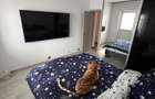 Apartament cu 3 camere decomandat în Pantelimon - 3