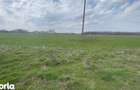 TEREN INTRAVILAN 1000 MP CARCEA - ZONA HANUL CU PONEI - 2