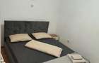 Apartament cu 2 camere semidecomandat în Gării - 3