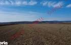 Teren extravilan de vanzare intre Chilieni ?i Co?eni, pe DN12! - 2