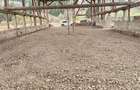 HALE-DEPOZIT DE VANZRE SI TEREN 10000 mp  AGAS jud.Bacau - 2