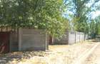 Casă cu 5 camere în Ianca - 5