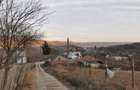 Teren de 6000 mp, în Priboieni - 4