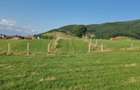 Teren extravilan de vanzare la munte, 5000 m.Marajdie Gura Raului. - 4