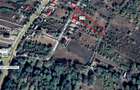 vand 2750 mp teren+ casa (50mp) loc. BABADAG, jud. TULCEA, langa padure, spre Doi Iepura?i - 6
