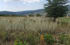 Teren Chicirea (Tomesti) 1.219 mp, 20 euro/mp ( 25.000 ) - 1