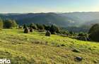 Teren Comuna Horea 17278m2. Apuseni - 7