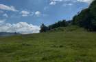 Oportunitate de Investi?ie: Teren Intravilan 1.5 Ha la 1200m Altitudine Langa Partia Vartop (A - 2