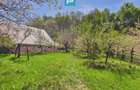 Casa Campani, 8000 mp teren, la poalele Apusenilor - 20