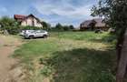 Proprietar vand teren intravilan Mosnita Veche - 2