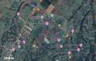 Teren Tohanu Nou, intrare Sohodol, 4800mp - 4
