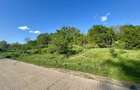 Teren 1000-2000mp intravilan in Gradina Botanica Iasi, 200€/mp, utilitati - 8