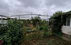 Giarmata Mare - Teren Constructii Case - 5