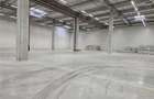 Spatii Industriale - 9500 mp - Logistica - Productie - Depozitare - Distributie - 9