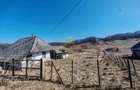 Vand teren intravilan Stejaru Bacau - 5