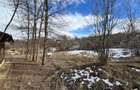 Teren Construcții intravilan de 3900 mp, în Provița de Sus - 3